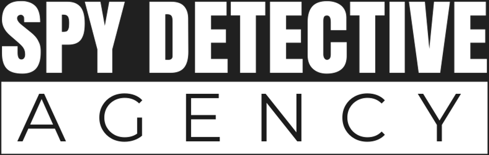 www.spydetectiveagency.com